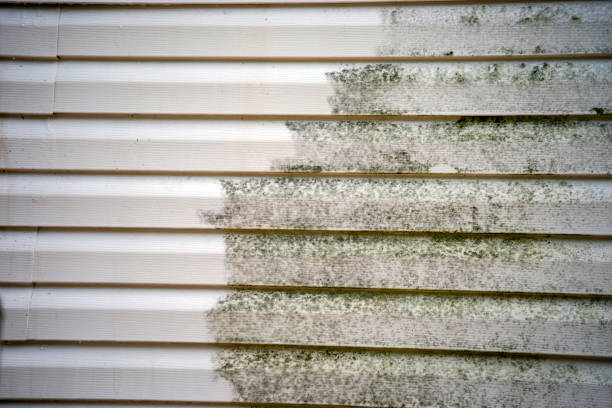 Best Yard Waste Removal  in Prceton, IN